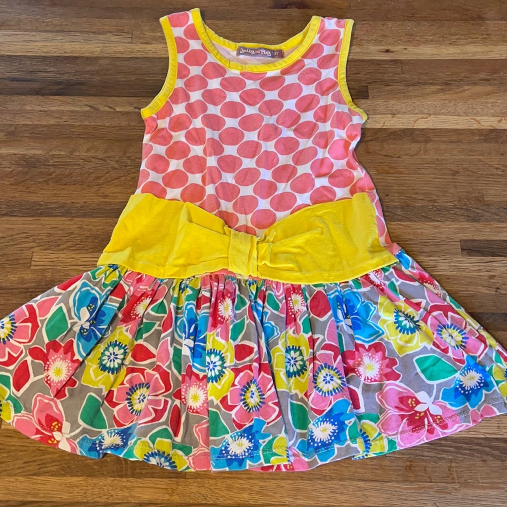 Jelly the Pug dress